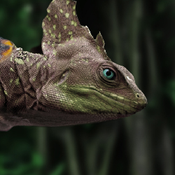 Hybrid Reptile Photoshop Design
